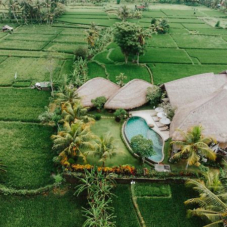 Villa Omah Padi Ubud Extérieur photo