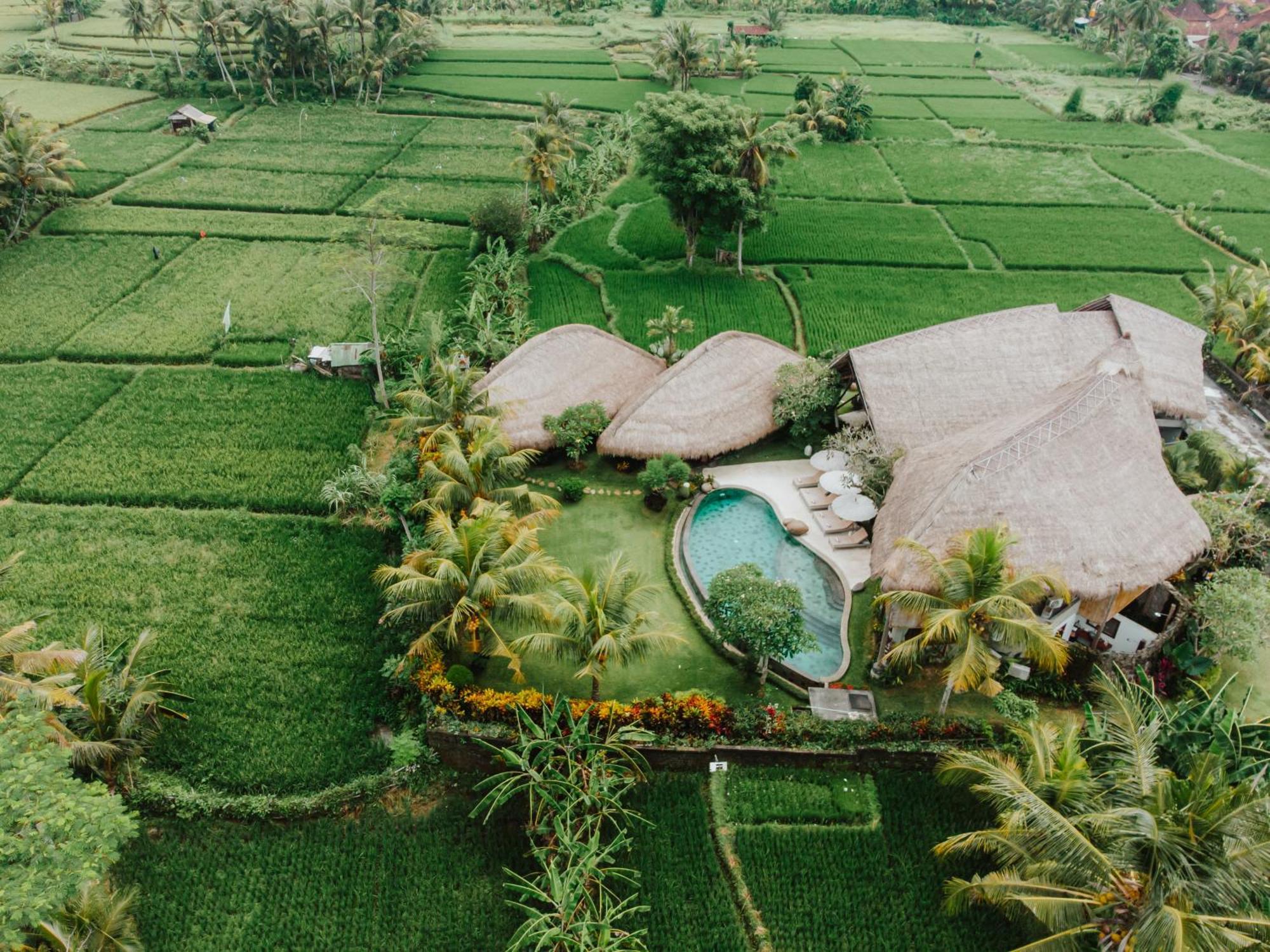 Villa Omah Padi Ubud Extérieur photo